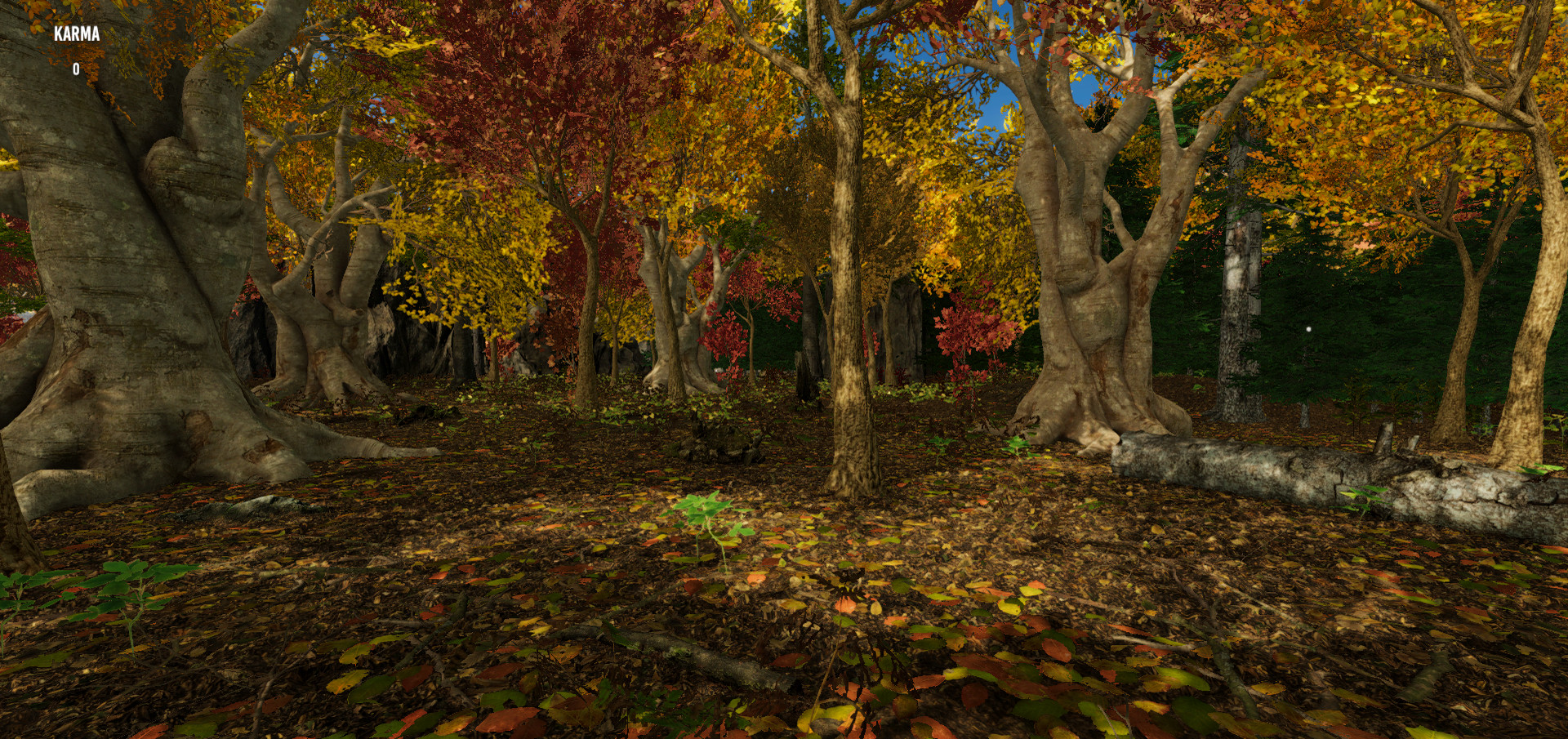 Gander National Park screenshot #15