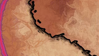 Swarming Planet video 2