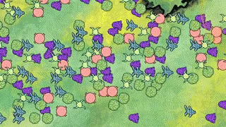 Swarming Planet video 3