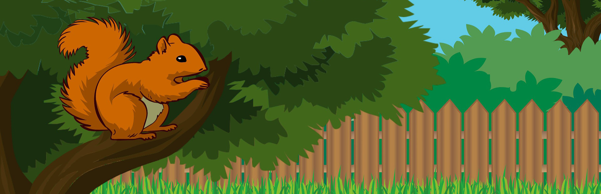 Angry Squirrel