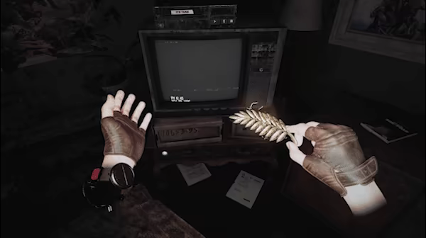 Wanderer video 1