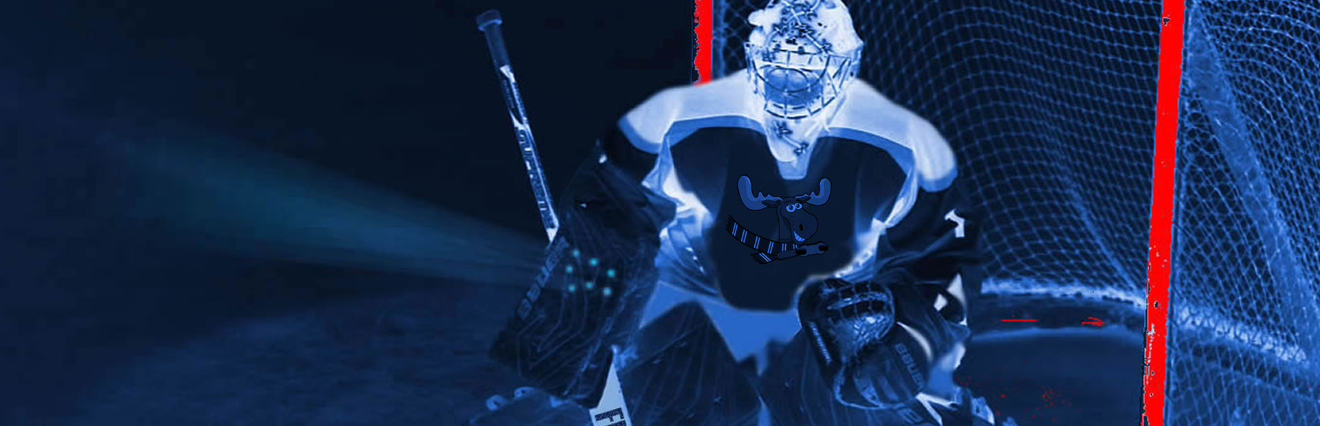 Goalie Madness