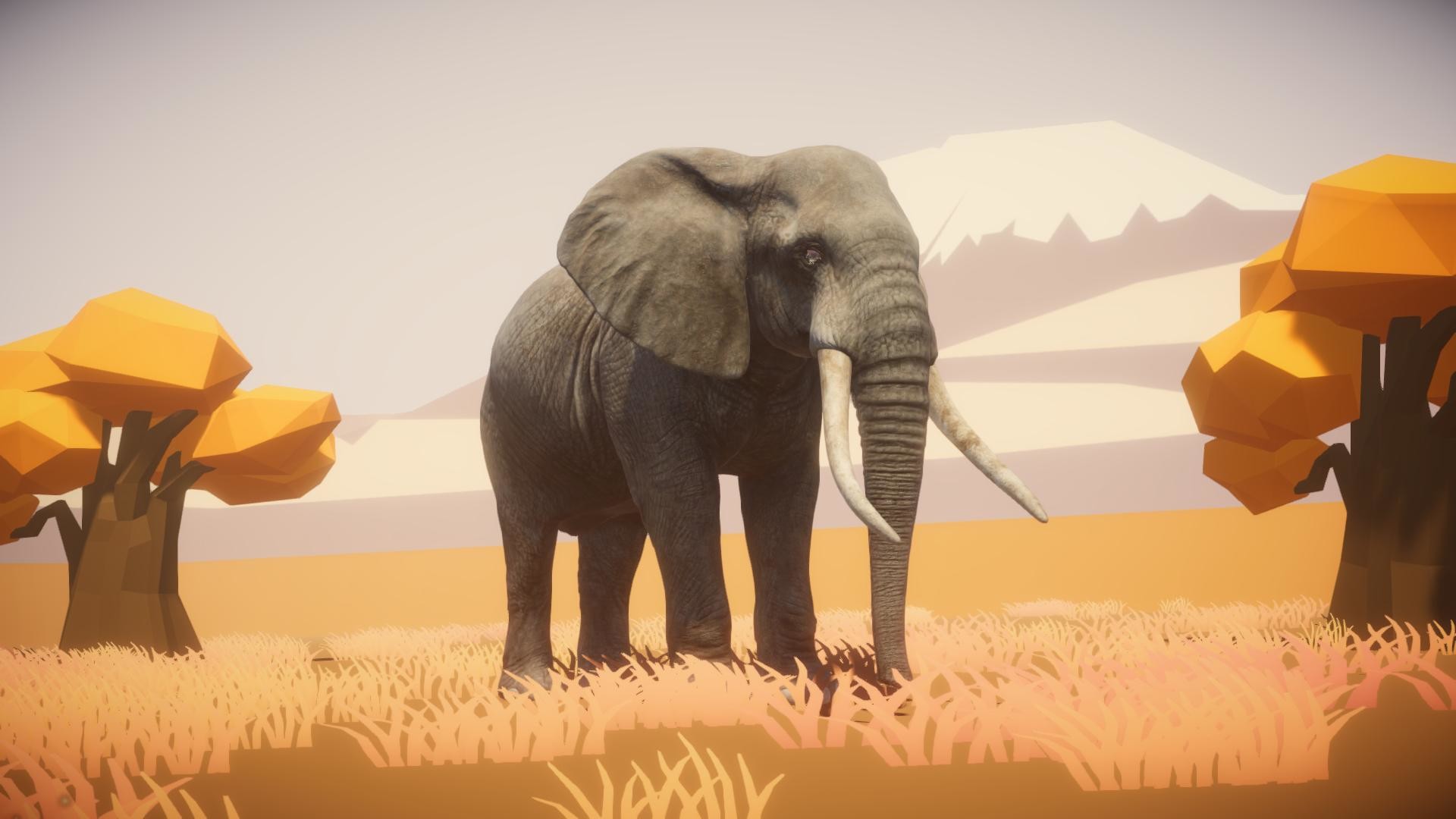 Wild Jigsaw VR screenshot 3