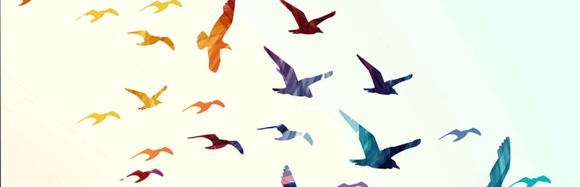 Chasing the wind