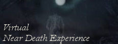 Virtual Near Death Experience