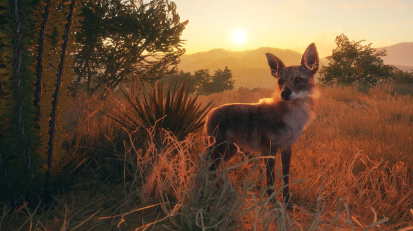theHunter: Call of the Wild - Rancho del Arroyo (DLC) screenshot 10