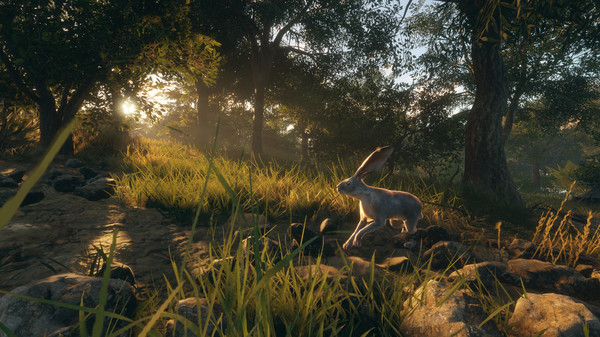 Screenshot z theHunter: Call of the Wild™ - Rancho del Arroyo Screenshot z theHunter: Call of the Wild™ - Rancho del Arroyo