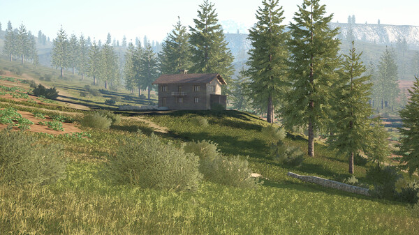 Thumbnail 23