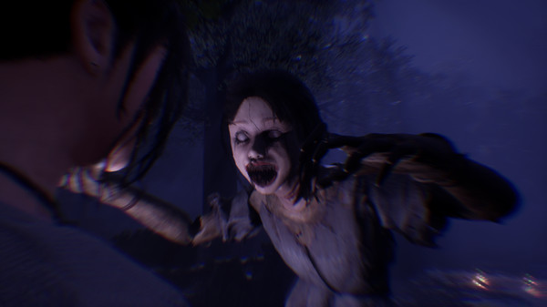 The Bridge Curse Road to Salvation.