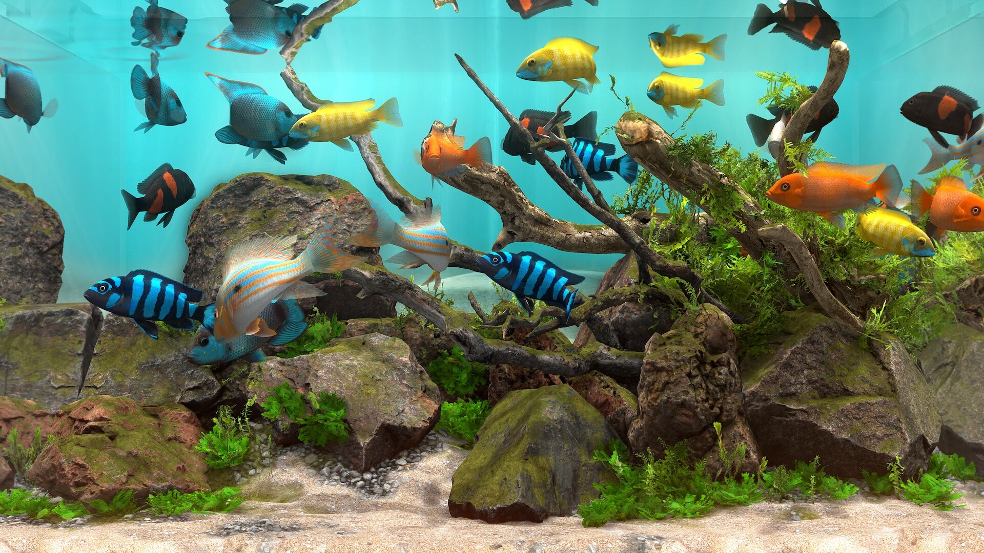 Behind Glass: Aquarium Simulator screenshot #1