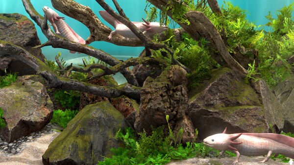 Behind Glass: Aquarium Simulator-游戏截图