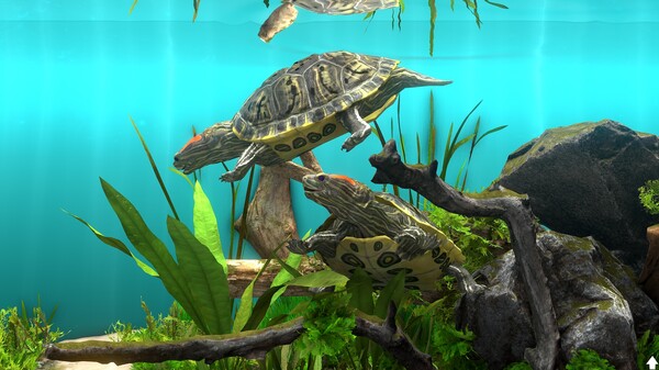 Behind Glass: Aquarium Simulator-游戏截图