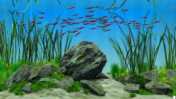 Behind Glass: Aquarium Simulator-游戏截图
