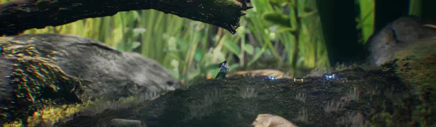 Big Earth video 10