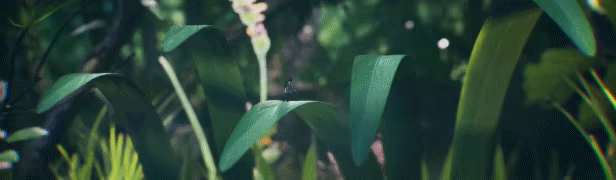 Big Earth video 12