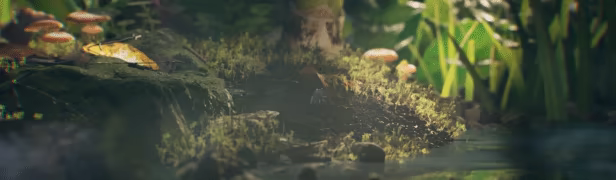 Big Earth video 11
