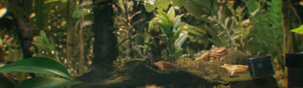 Big Earth video 1