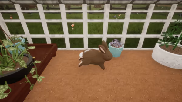 Bunhouse video 8