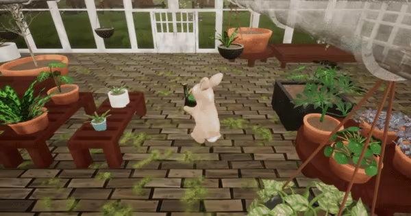 Bunhouse video 7
