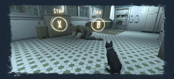 Copycat video 4