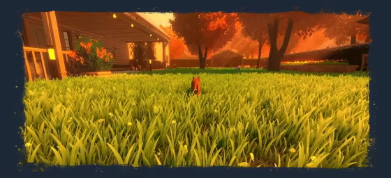 Copycat video 3