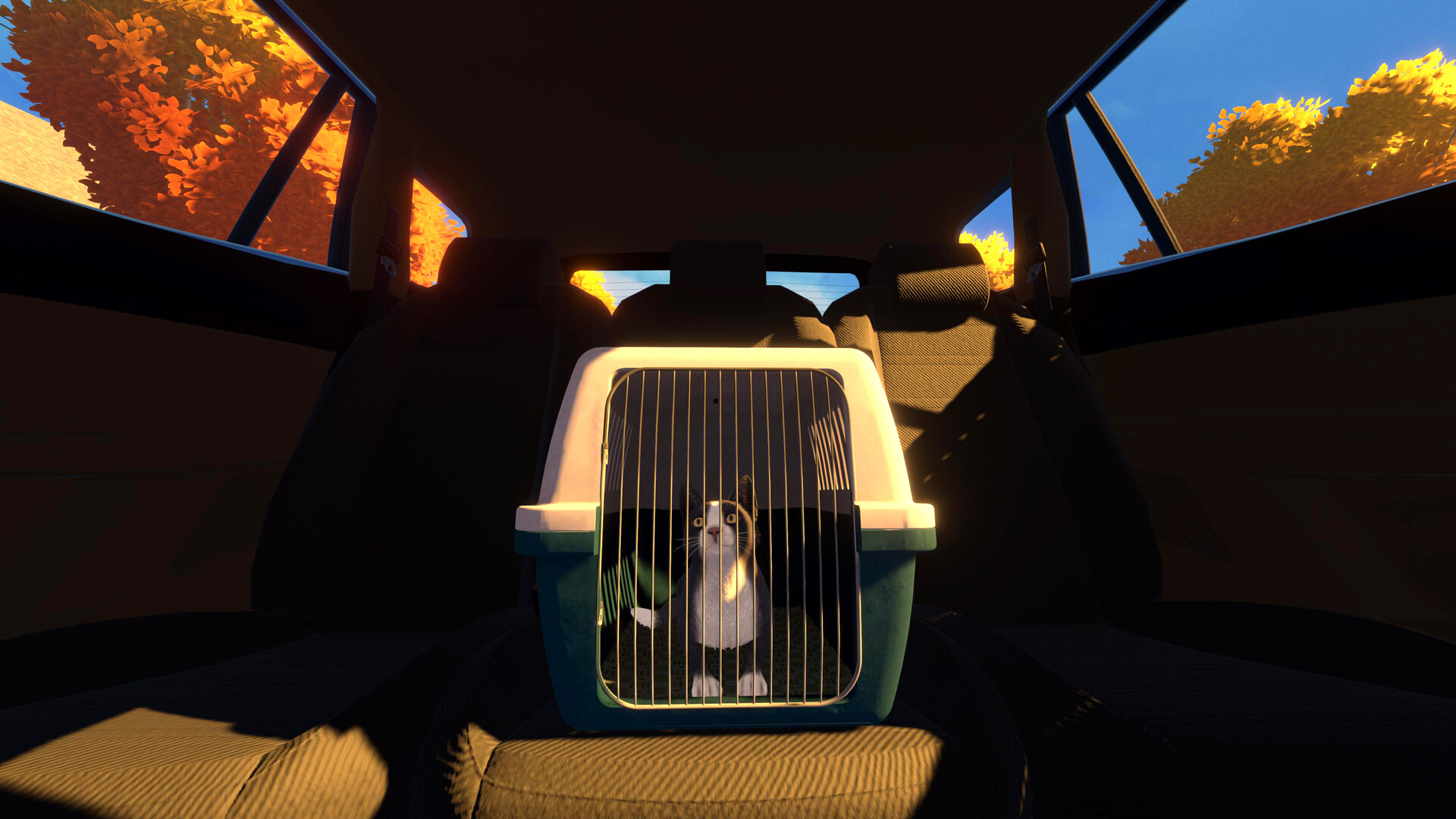 Copycat screenshot 12