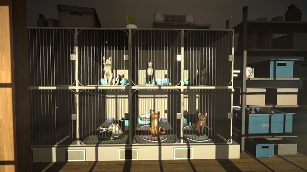 冒牌猫谜-游戏截图