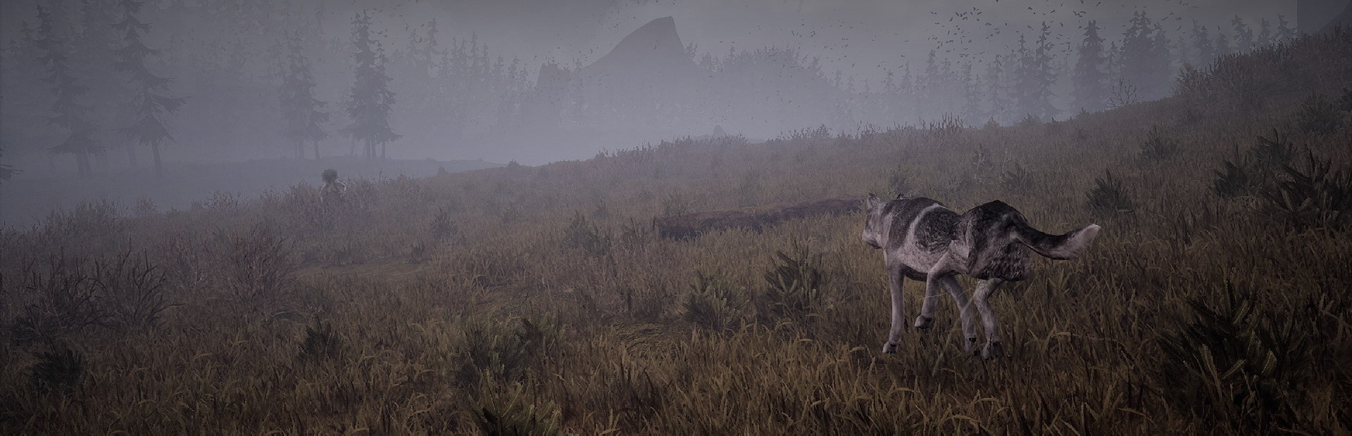 Wandering Wolf