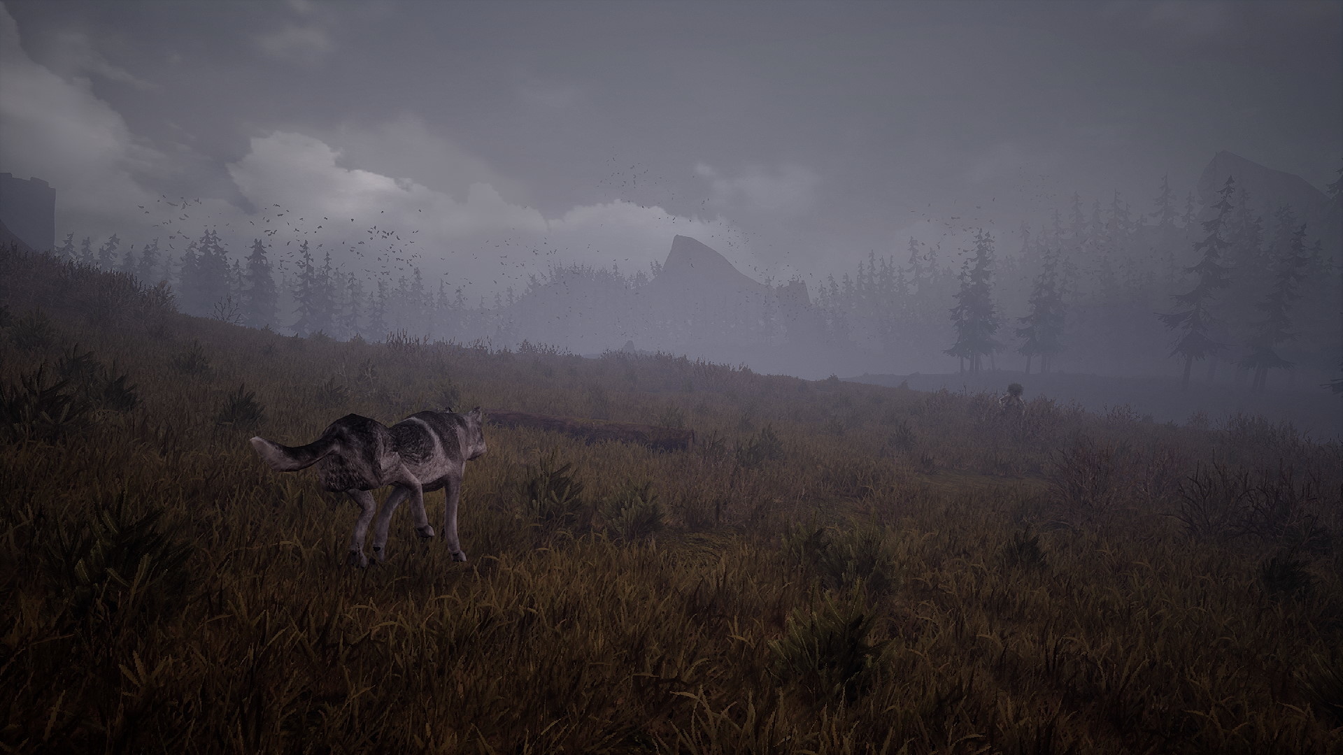 Screenshot 5 from Wandering Wolf