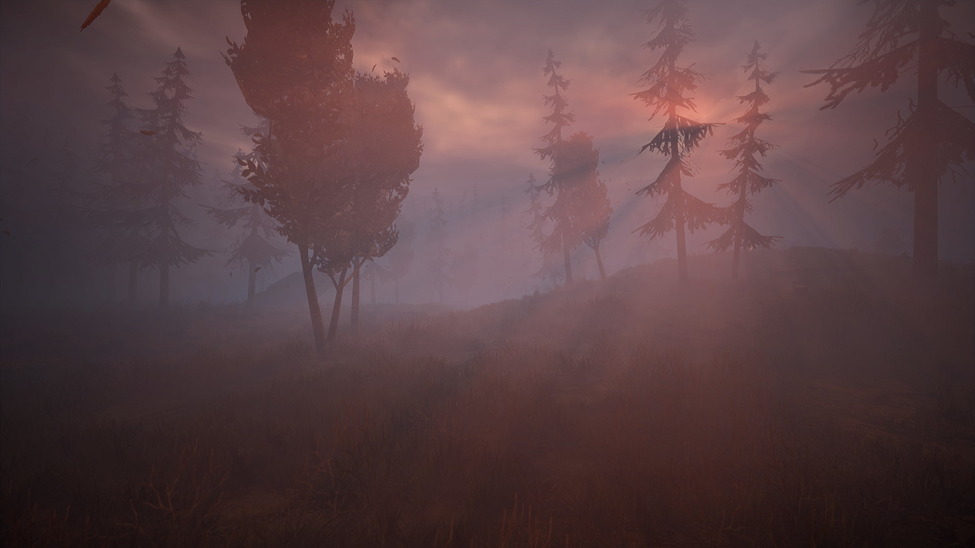 Screenshot 4 from Wandering Wolf