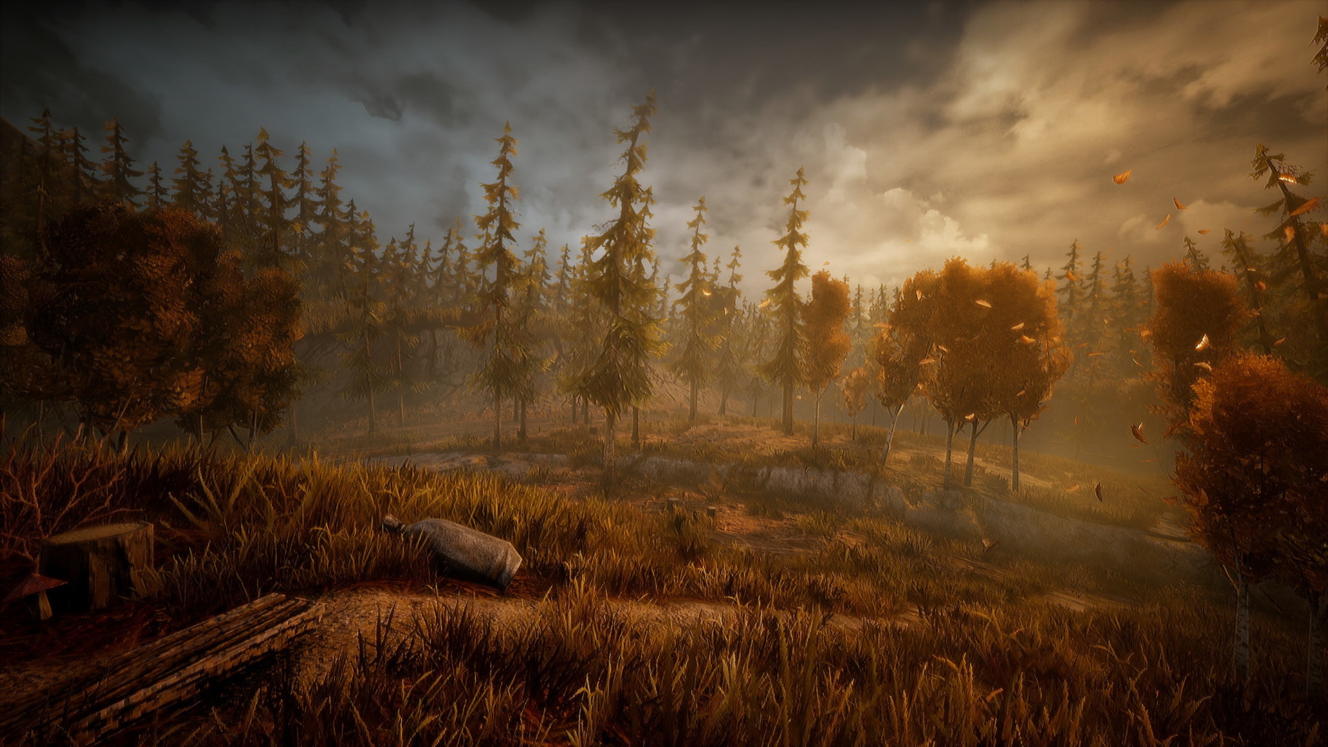 Screenshot 6 from Wandering Wolf