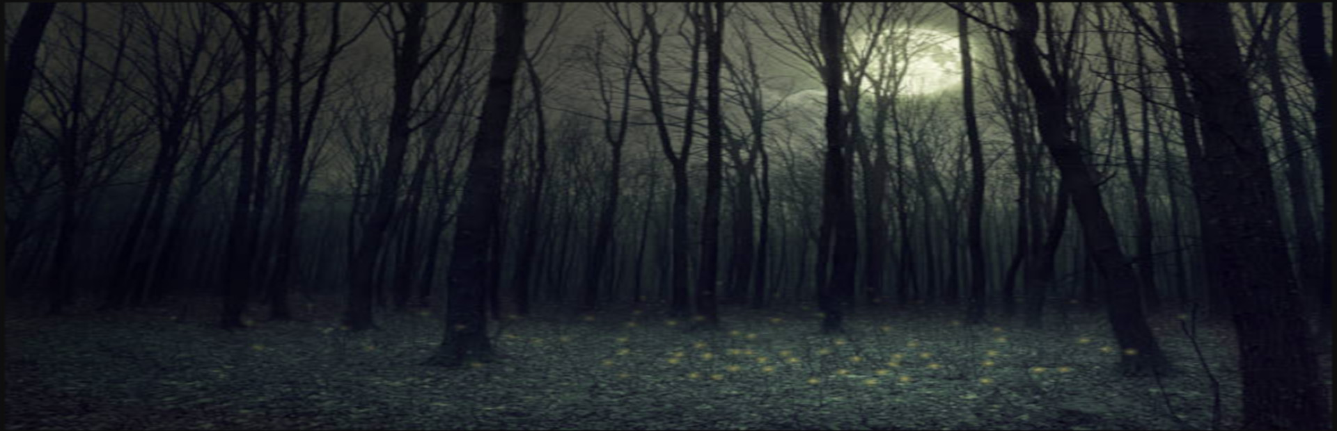 The Witch's Maze