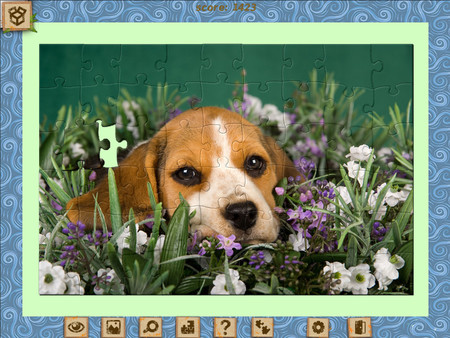 1001 Jigsaw. Home Sweet Home. Back from Vacation