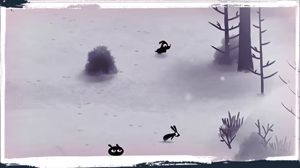 Koira video 11