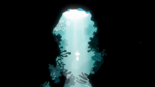 Thumbnail 13