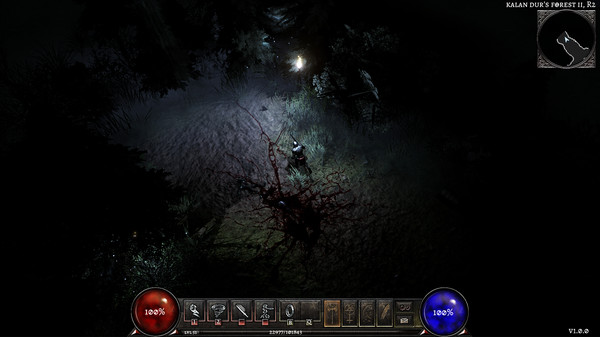 Screenshot z Anima : The Reign of Darkness