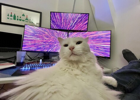 Скриншот