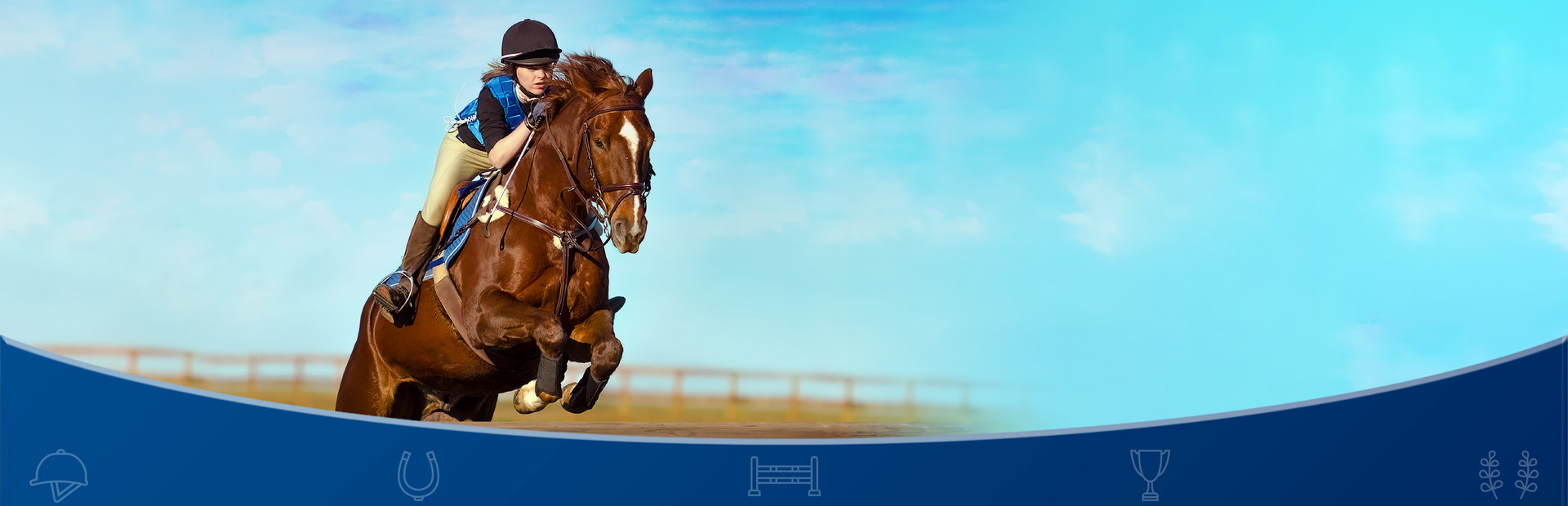 Equestrian Training 