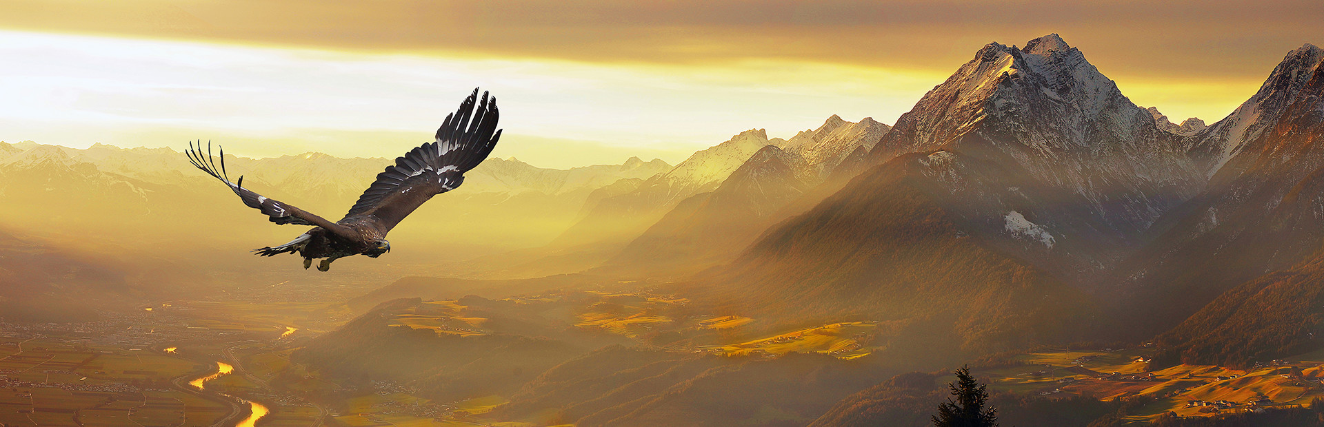 FREEDOM: Hunt Kill Fly