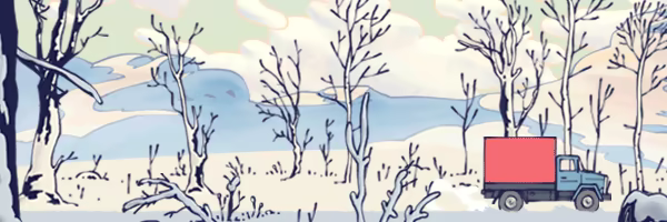 Firebird video 6