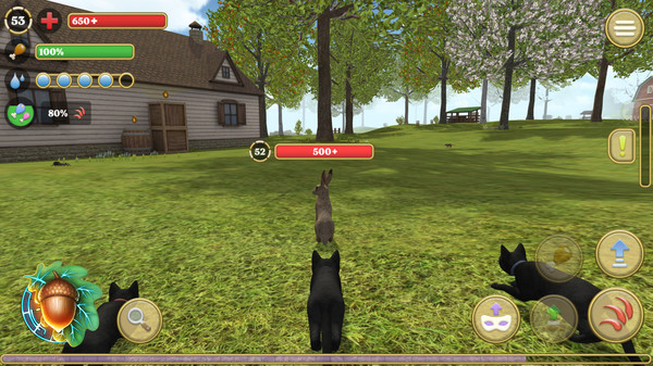 Cat Simulator : Animals on Farm