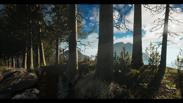 принцесса и лезвие.