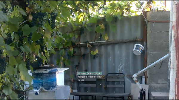 Screenshot z Willage