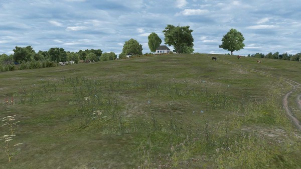 Screenshot z OMSI 2 Add-on Enhanced Environment Pack