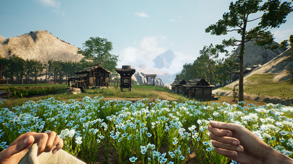 Chinese Frontiers