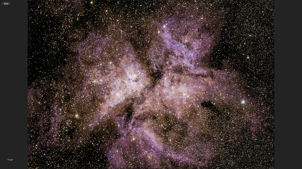 Swordfish screenshot 5