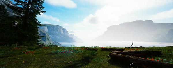 Thumbnail 23