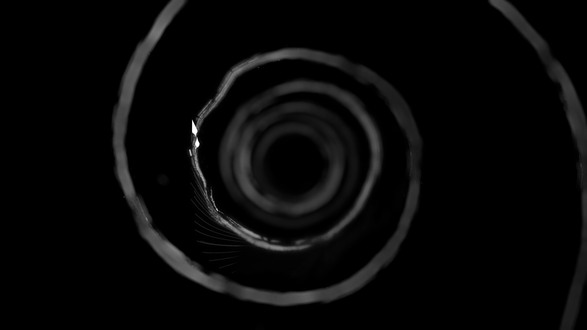 Stellations screenshot #1