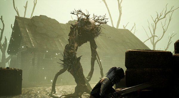 迷瘴纪事-游戏截图