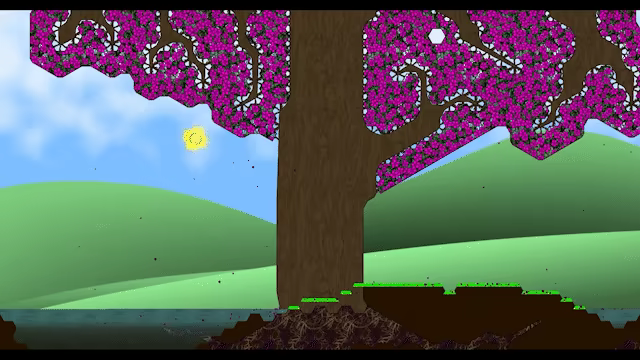 Heliotropism video 1